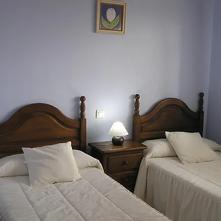 ánades * Isla Plana